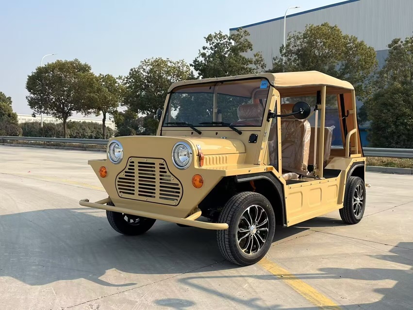 MINI MOK